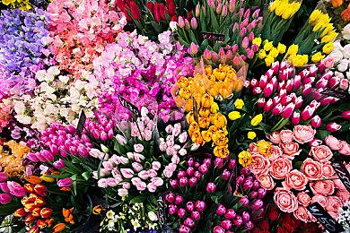 《艾尔登法环》不提供难度设置选项 比《血源》容易